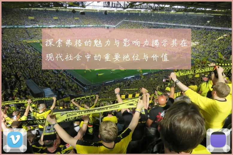 探索弗格的魅力与影响力揭示其在现代社会中的重要地位与价值
