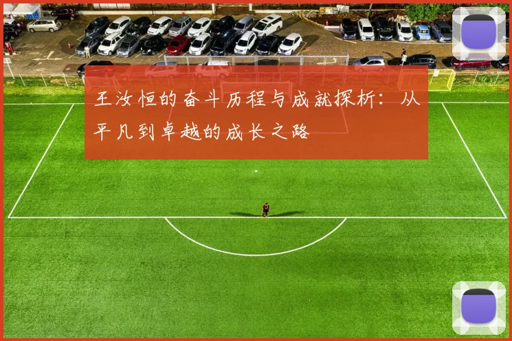 王汝恒的奋斗历程与成就探析：从平凡到卓越的成长之路