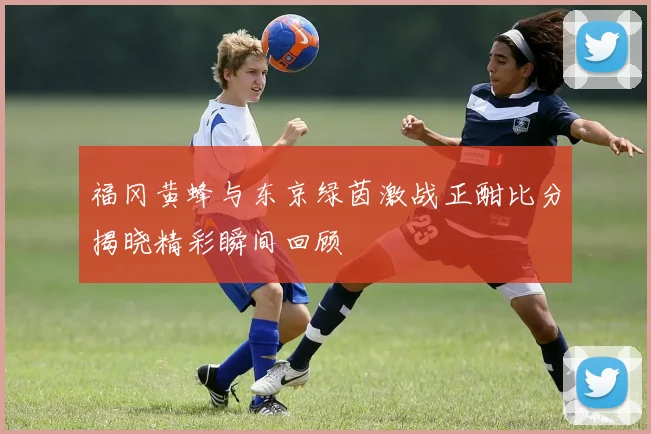 福冈黄蜂与东京绿茵激战正酣比分揭晓精彩瞬间回顾