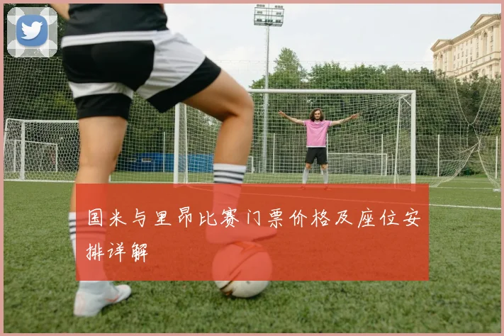 国米与里昂比赛门票价格及座位安排详解