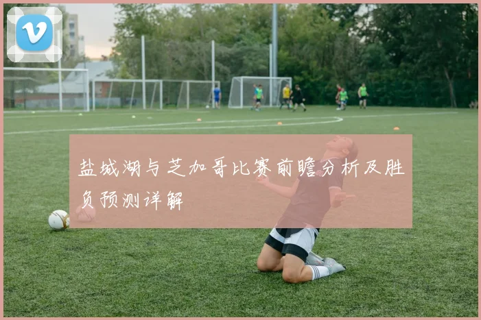 盐城湖与芝加哥比赛前瞻分析及胜负预测详解