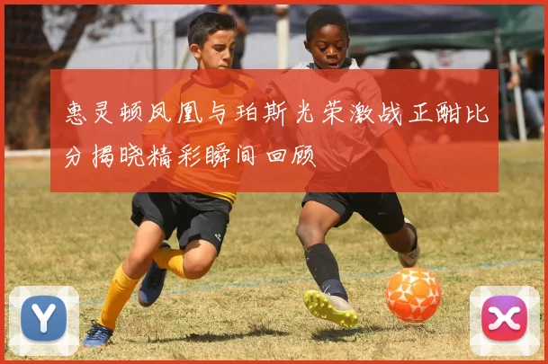 惠灵顿凤凰与珀斯光荣激战正酣比分揭晓精彩瞬间回顾